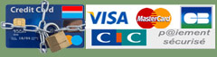 CIC logo